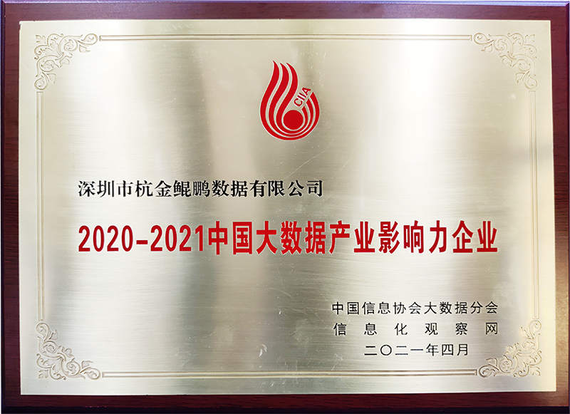 2020-2021中國大數(shù)據(jù)產(chǎn)業(yè)影響力企業(yè).jpg